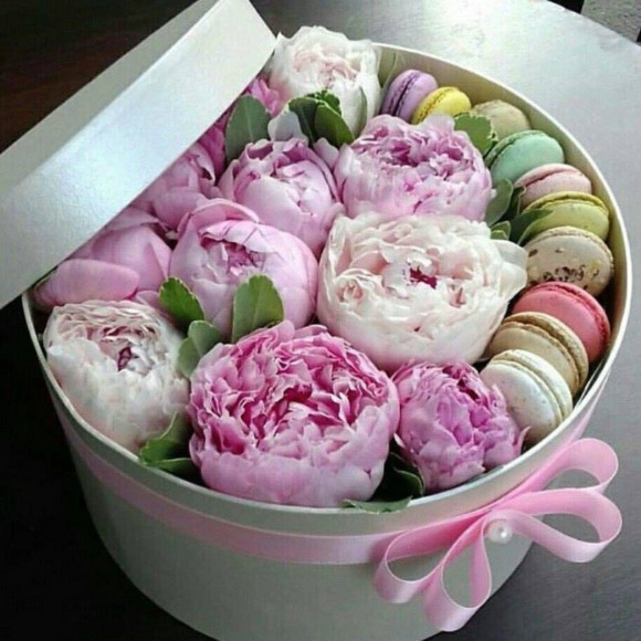 Meet your Posher, Vi - Picture 1 of 1